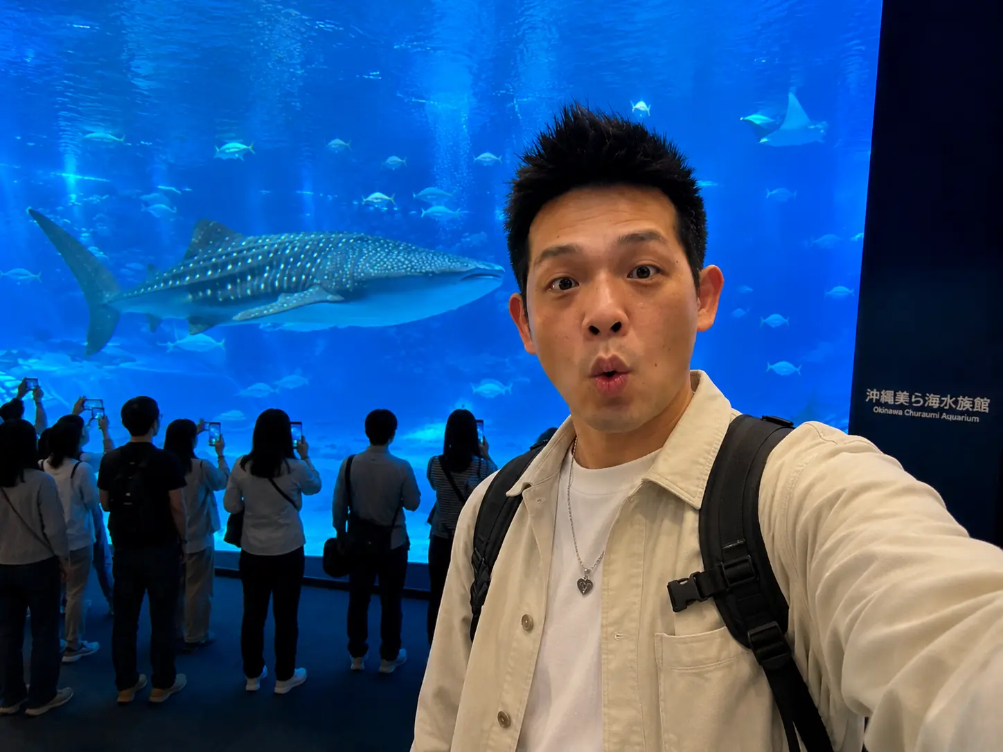 沖繩自駕實戰心得：美麗海水族館、古宇利島、心形岩