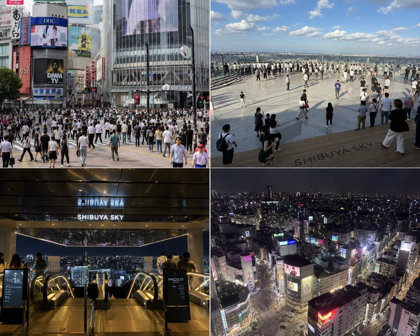 澀谷十字路口與 Shibuya Sky 實戰心得